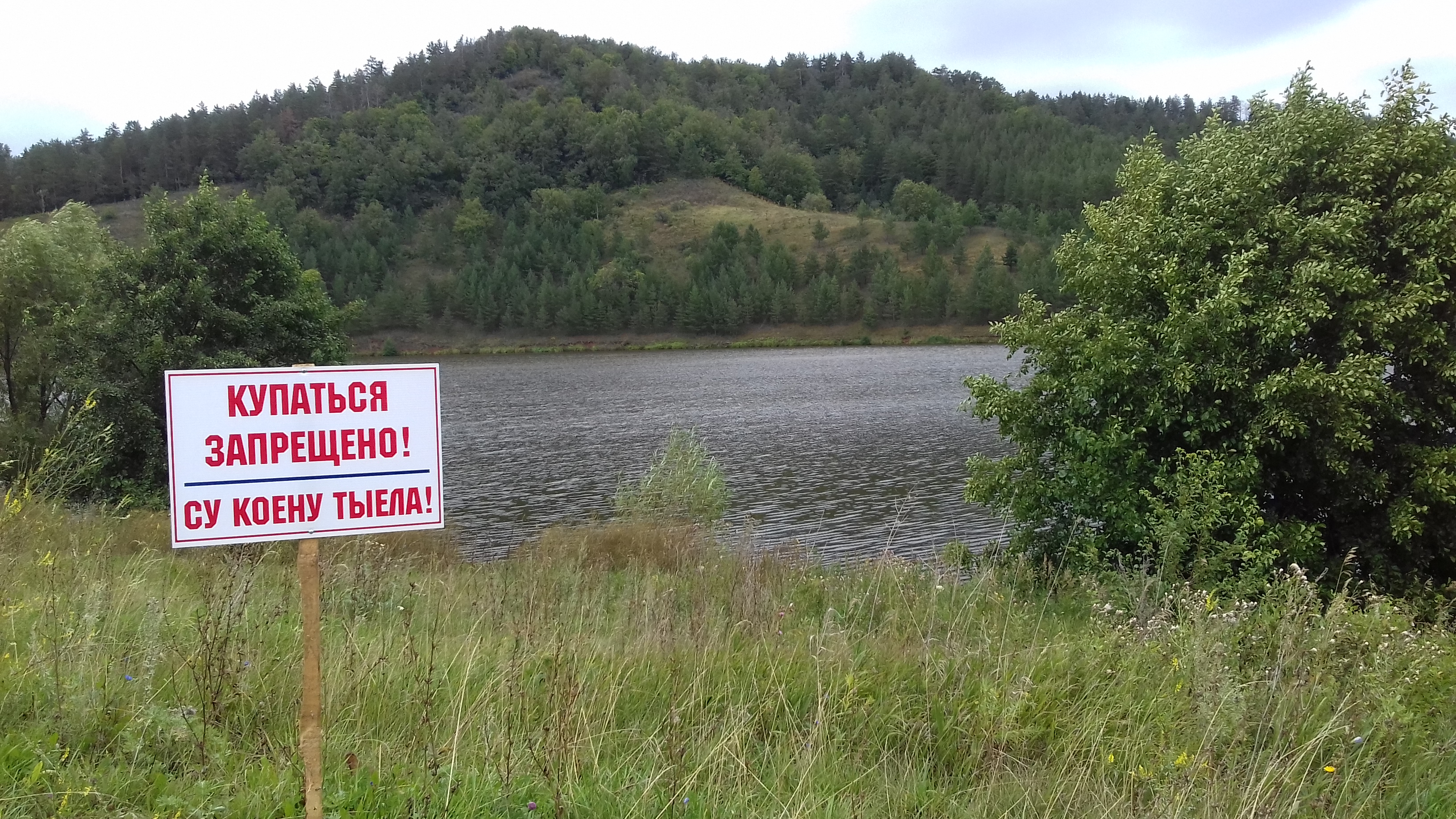 Почему нельзя купаться в озере. Купаться запрещено. Купание запрещено табличка. Запрещенное озеро. Аншлаг купание запрещено.