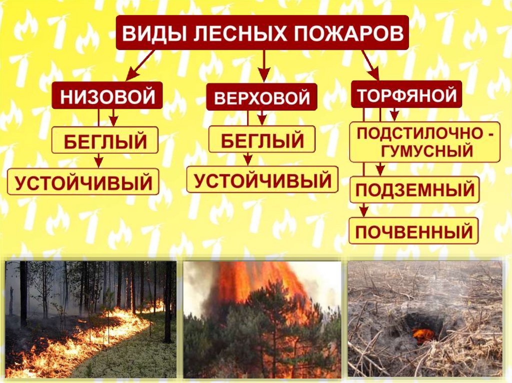 Подземный пожар и верховой. Карточка лесного пожара образец. Журнал учета лесных пожаров.